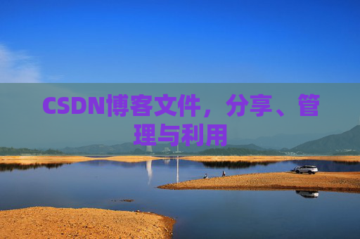 CSDN博客文件，分享、管理与利用
